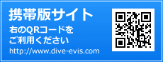 携帯版サイト　