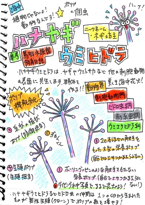 ずかんくん手描きイラスト