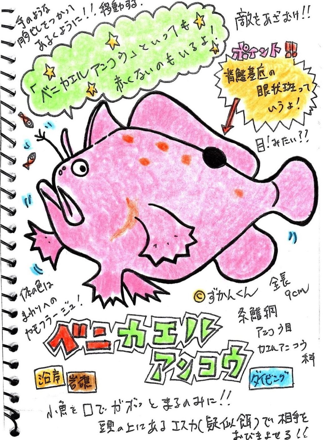 ずかんくん手描きイラスト