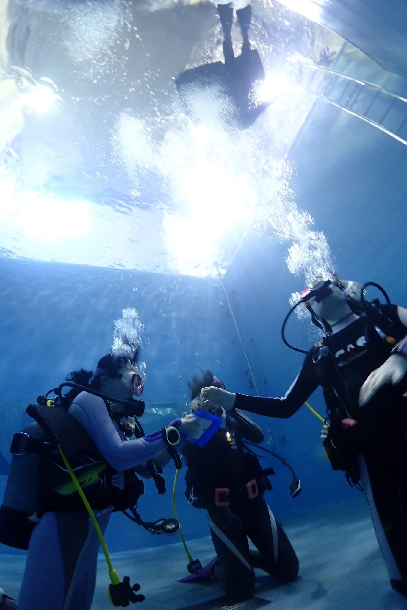 マンタでたーーー！！